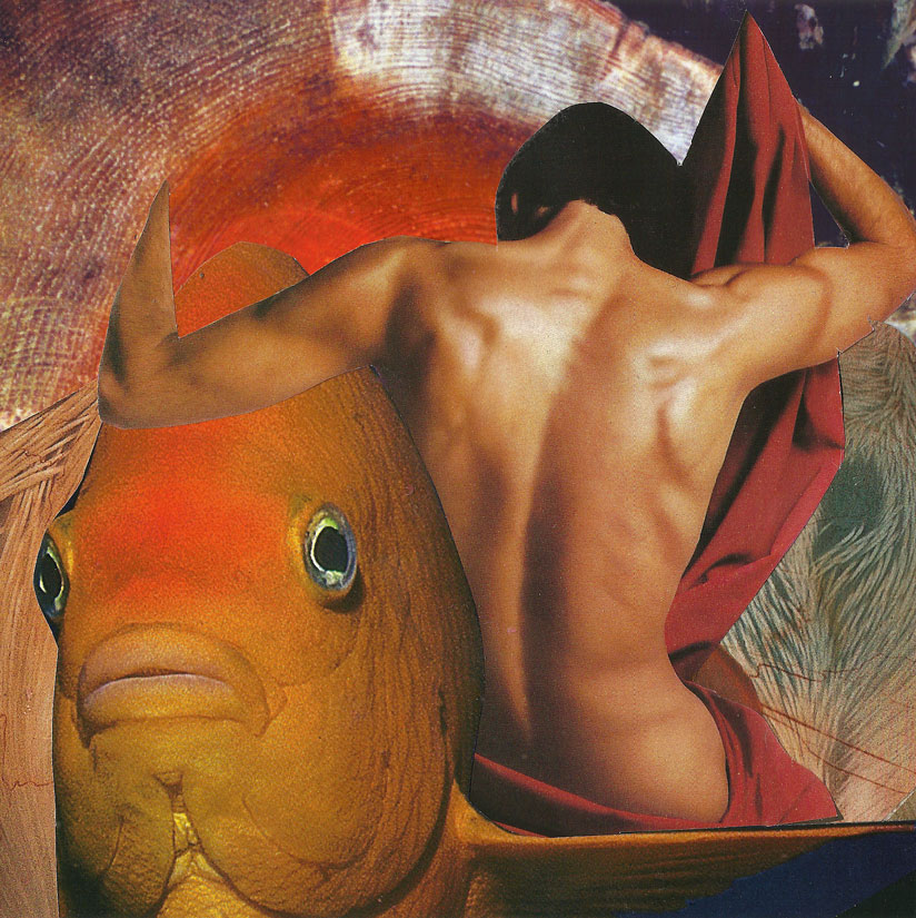 Collagebild Fisch von Hagen Ludwig (Nottekunst)